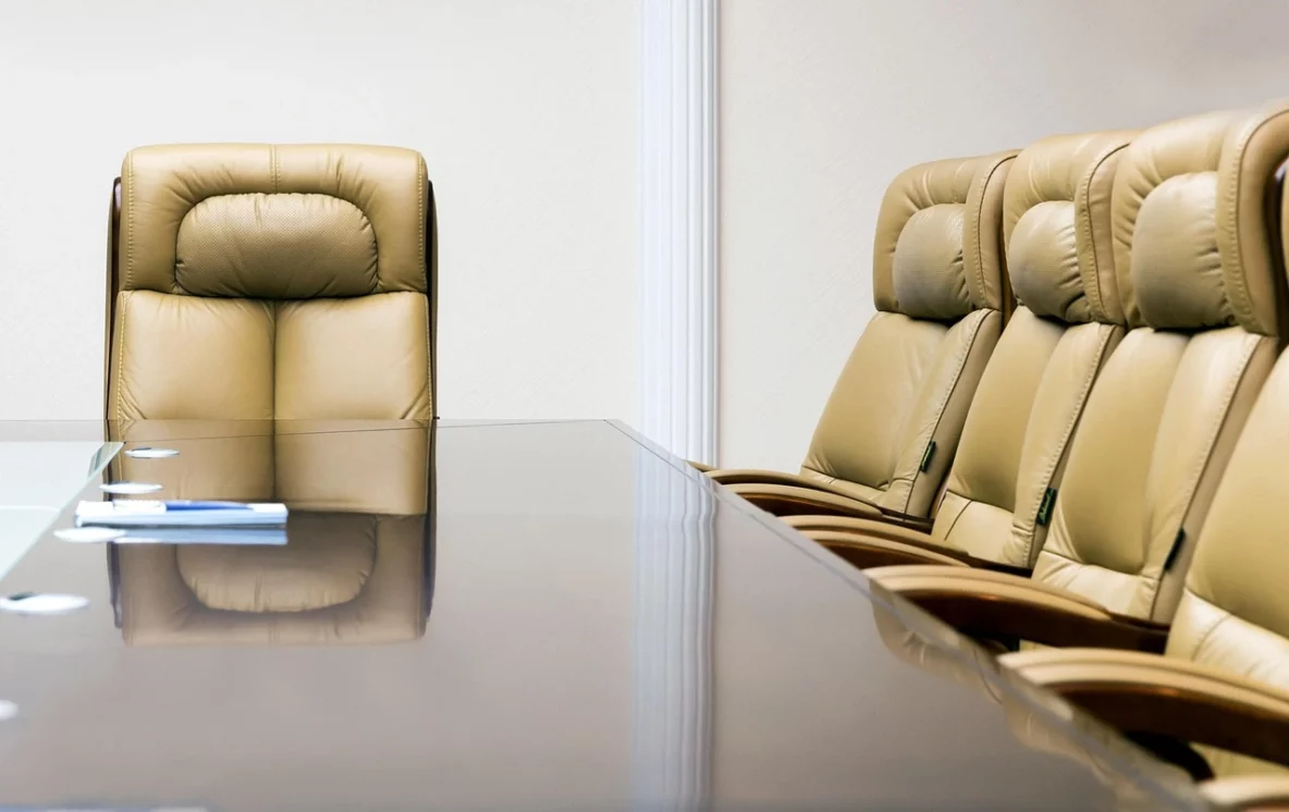 removing a director for mismanagement - chairs